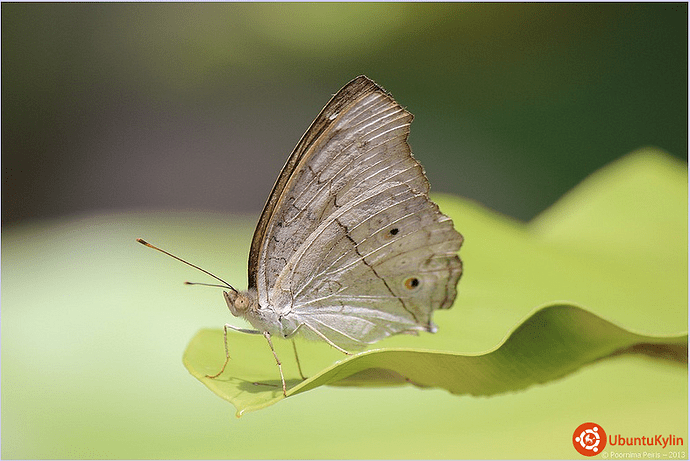 2013-10-17 11:20:10的屏幕截图.png