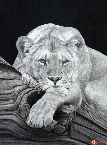 daydreaming___pencil_on_paper__by_stephenainsworth-d6bj4pu.jpg