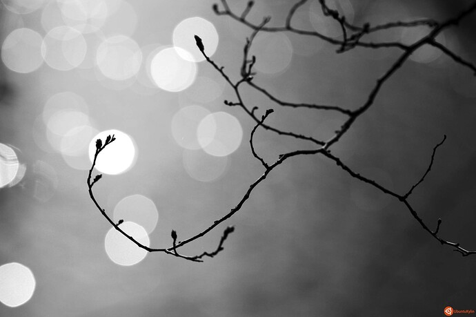 Touch_the_light_by_Matt_Katzenberger.jpg