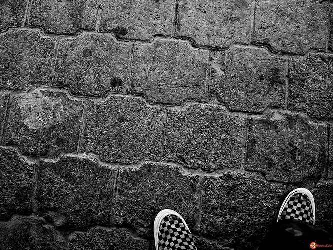 Shoes.jpg