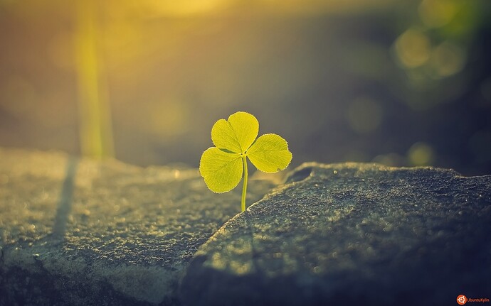 When evening falls by StopScreamGraphy.jpg