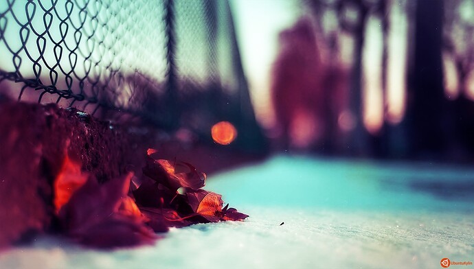 Winter Leaves by Slurpaza.jpg