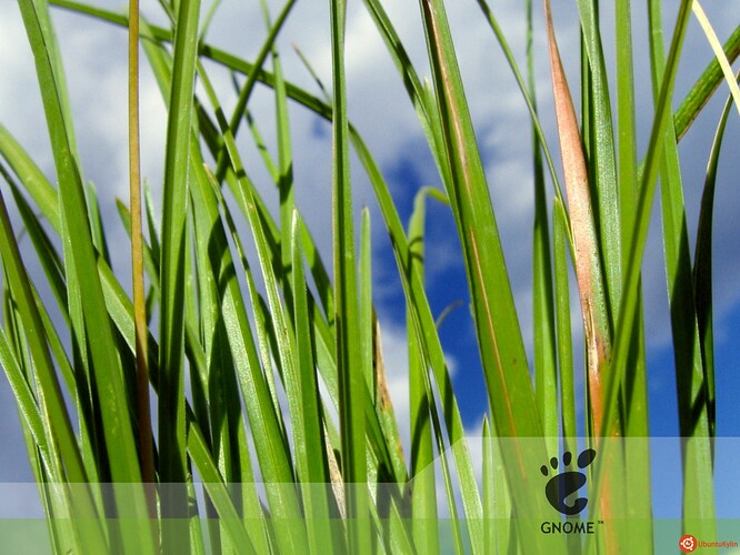 Ubuntu  - www.NoobsLab (19).jpg