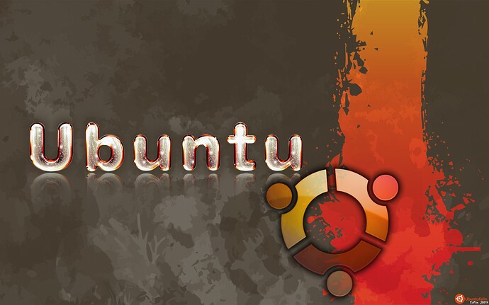 Ubuntu  - www.NoobsLab (17).jpg