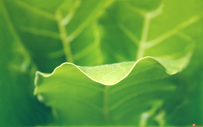 -41.II by bo0xVn.jpg