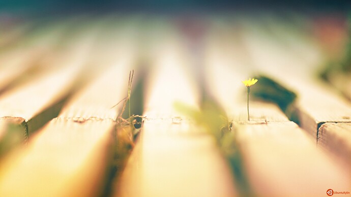 LostOne by lethalNIK-ART.jpg