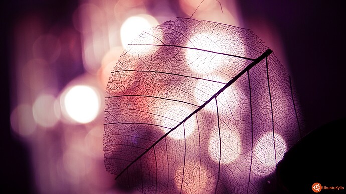 photosynthesize by salmanarif.jpg