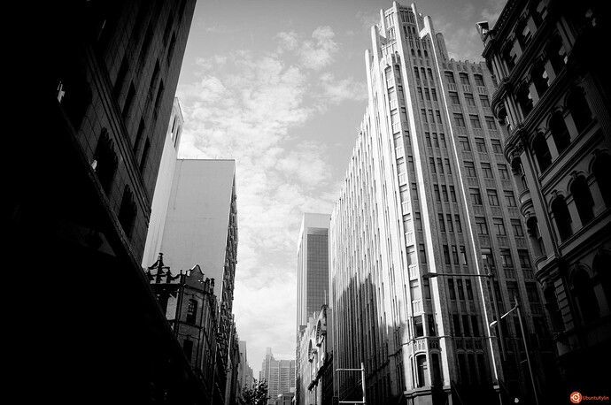 Grey_day_by_Drew__.jpg