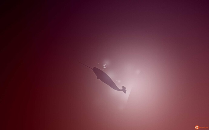 Variations-On-Natty-Narwhal-1_by_madeinkobaia.jpg