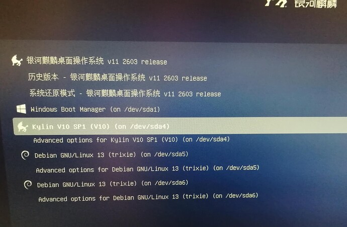 KylinOS 10.1 dead