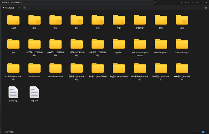 20251017 无效的编码