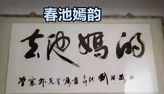 春池嫣韵